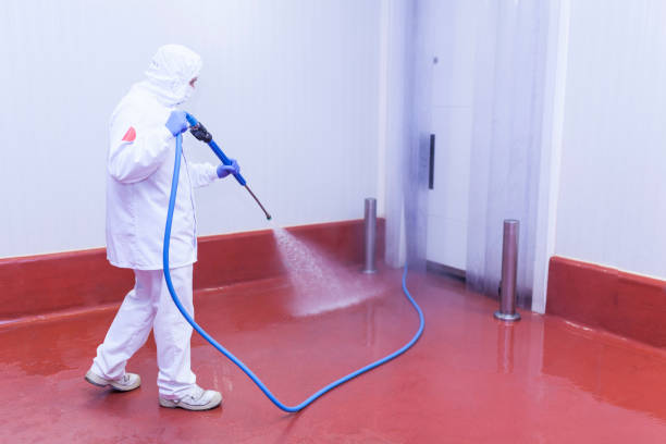 Best Playground Equipment Cleaning  in Elizabeth City, NC
